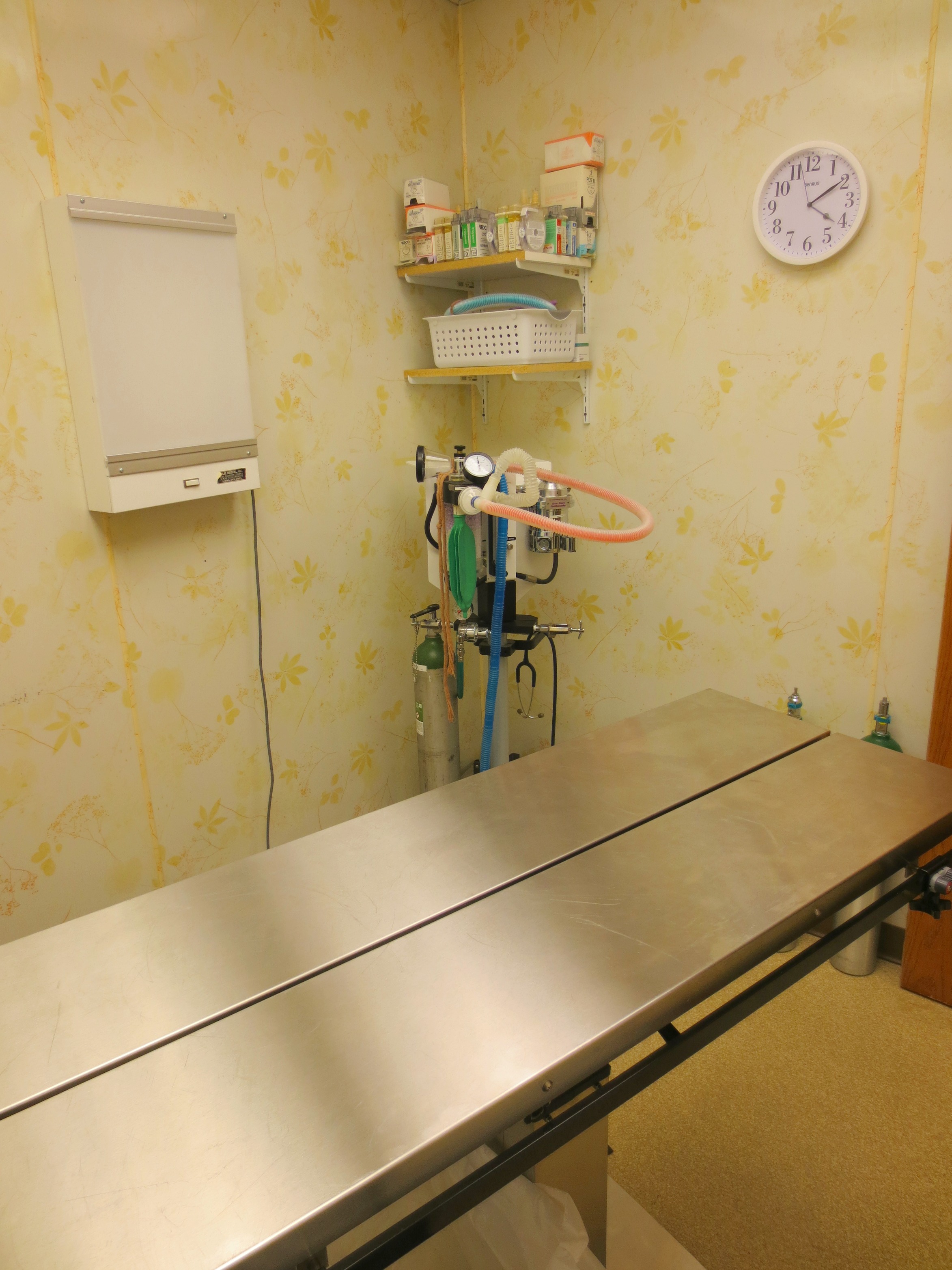 Hospital Tour Bern Sabetha Veterinary ClinicBern Sabetha Veterinary