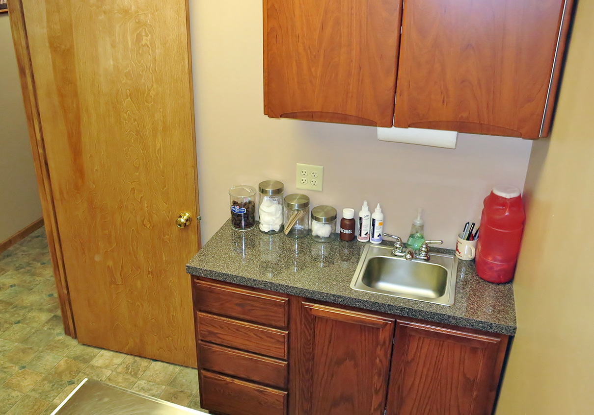 Hospital Tour Bern Sabetha Veterinary ClinicBern Sabetha Veterinary