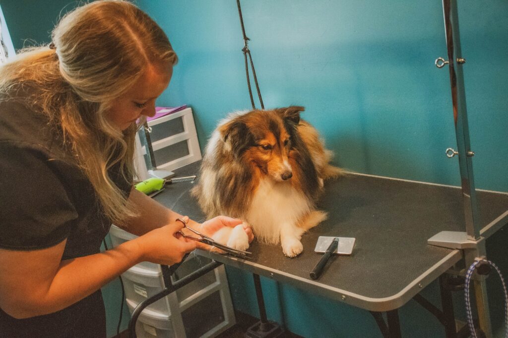 Boarding & Grooming Bern Sabetha Veterinary Clinic