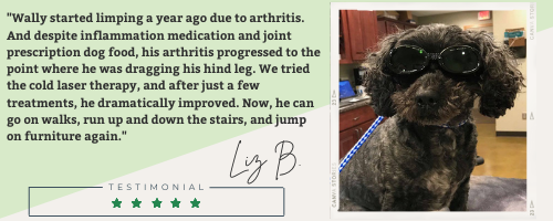 Cold Laser Therapy Testimonials Website (500 x 200 px)
